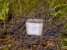 handmade lavender soy candle